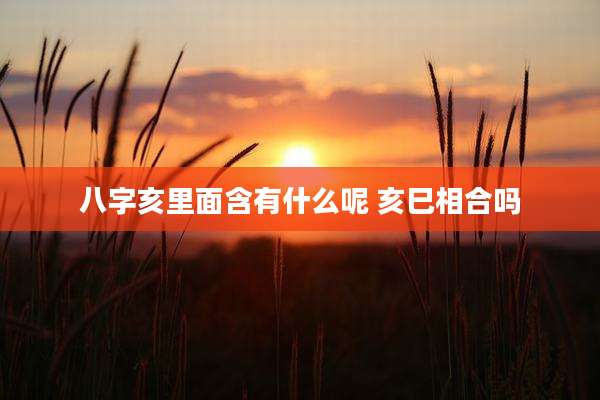八字亥里面含有什么呢 亥巳相合吗