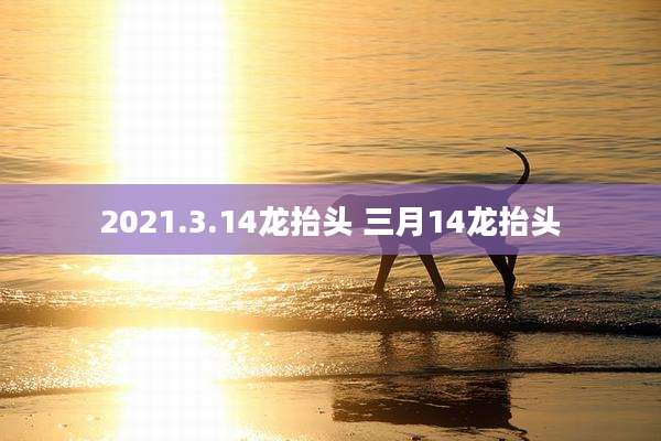 2021.3.14龙抬头 三月14龙抬头