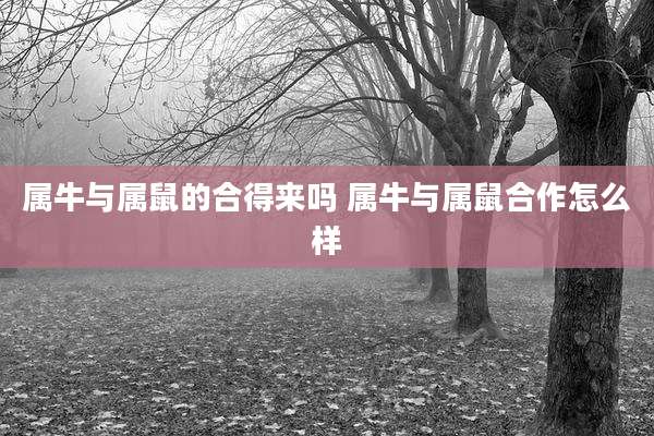 属牛与属鼠的合得来吗 属牛与属鼠合作怎么样