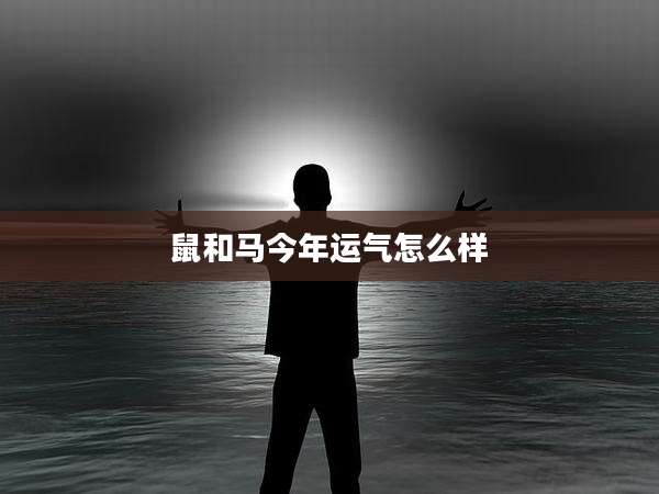鼠和马今年运气怎么样