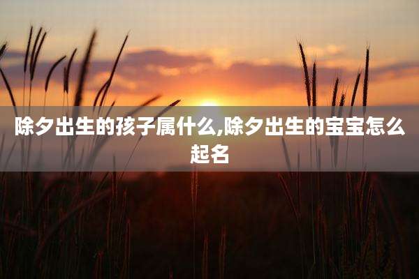 除夕出生的孩子属什么,除夕出生的宝宝怎么起名