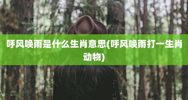 呼风唤雨是什么生肖意思(呼风唤雨打一生肖动物)