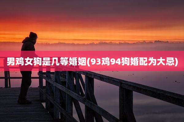 男鸡女狗是几等婚姻(93鸡94狗婚配为大忌)