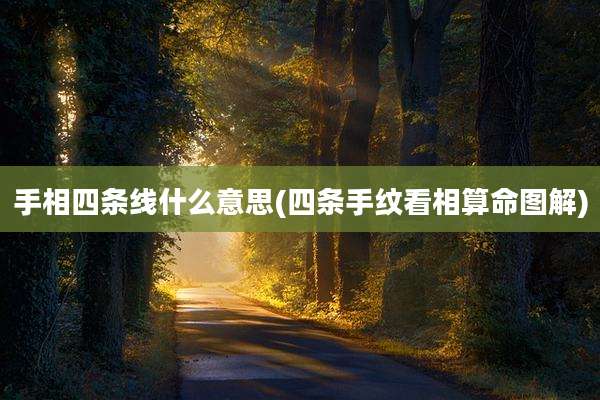 手相四条线什么意思(四条手纹看相算命图解)