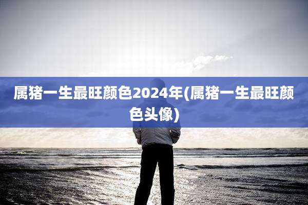 属猪一生最旺颜色2024年(属猪一生最旺颜色头像)