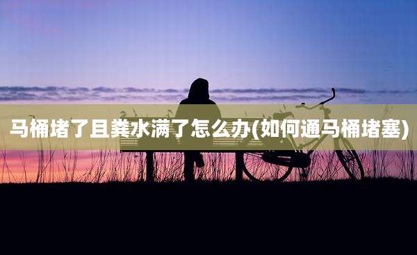 马桶堵了且粪水满了怎么办(如何通马桶堵塞)