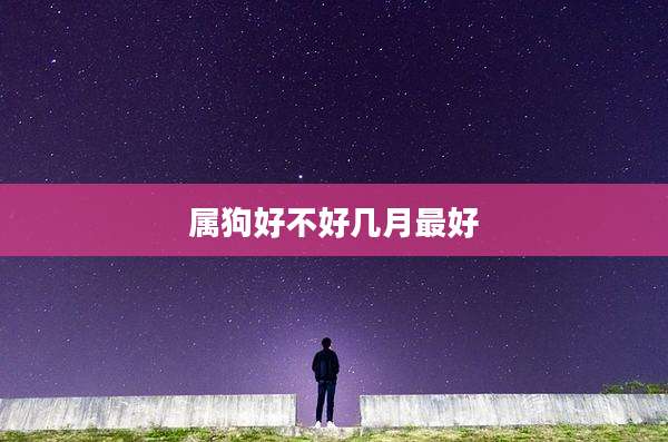 属狗好不好几月最好