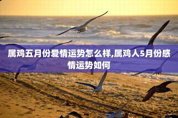 属鸡五月份爱情运势怎么样,属鸡人5月份感情运势如何