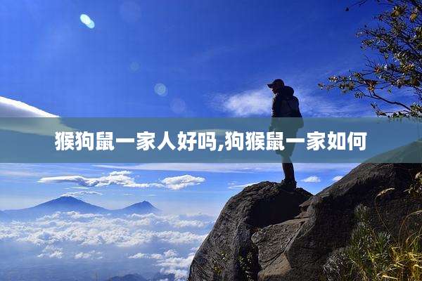 猴狗鼠一家人好吗,狗猴鼠一家如何