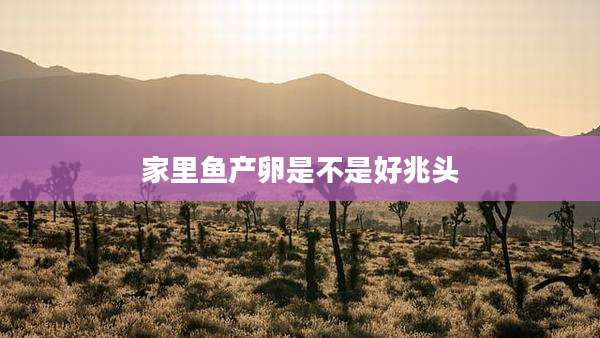 家里鱼产卵是不是好兆头