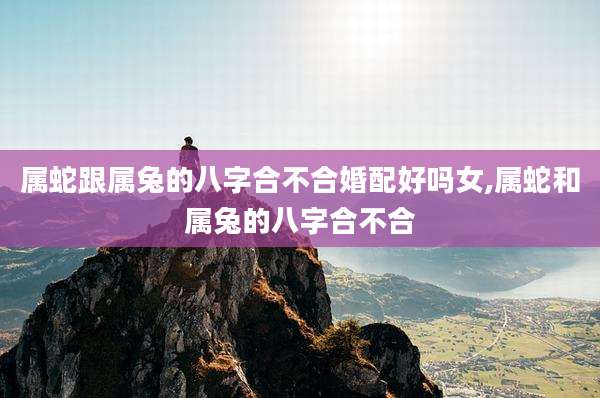 属蛇跟属兔的八字合不合婚配好吗女,属蛇和属兔的八字合不合