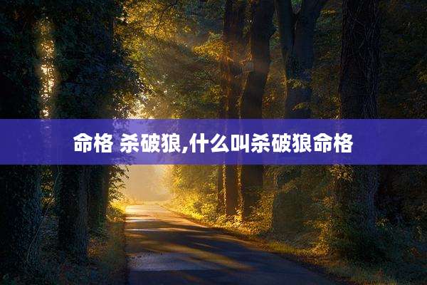 命格 杀破狼,什么叫杀破狼命格