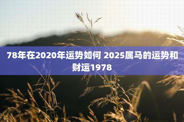 78年在2020年运势如何 2025属马的运势和财运1978