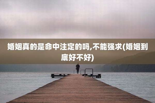 婚姻真的是命中注定的吗,不能强求(婚姻到底好不好)