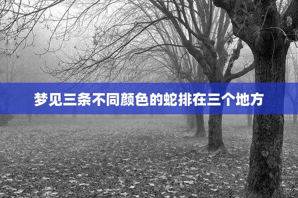 梦见三条不同颜色的蛇排在三个地方