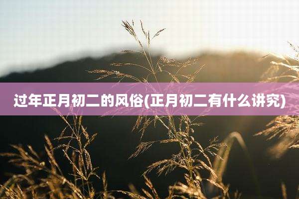 过年正月初二的风俗(正月初二有什么讲究)