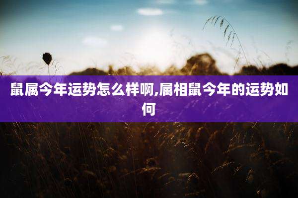 鼠属今年运势怎么样啊,属相鼠今年的运势如何