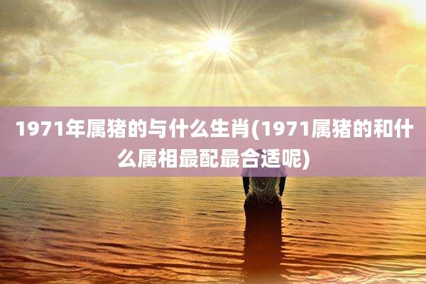 1971年属猪的与什么生肖(1971属猪的和什么属相最配最合适呢)