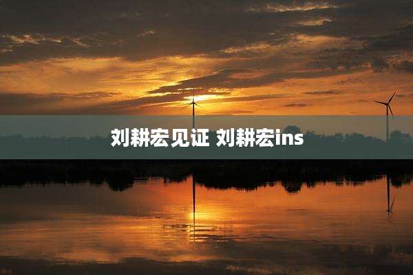 刘耕宏见证 刘耕宏ins