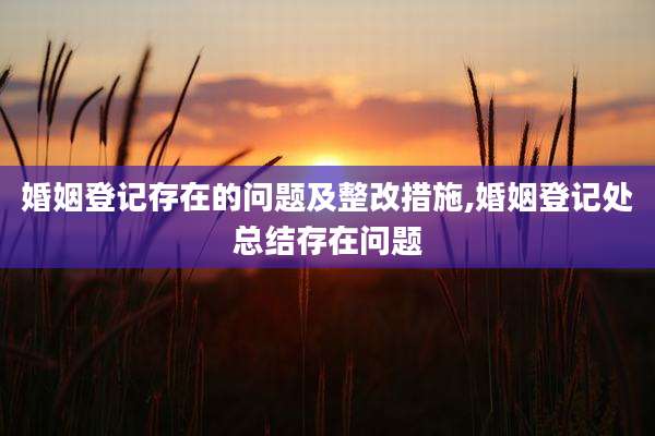 婚姻登记存在的问题及整改措施,婚姻登记处总结存在问题