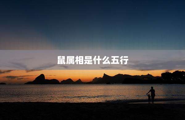 鼠属相是什么五行
