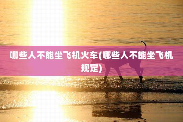 哪些人不能坐飞机火车(哪些人不能坐飞机规定)