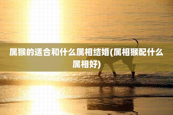 属猴的适合和什么属相结婚(属相猴配什么属相好)