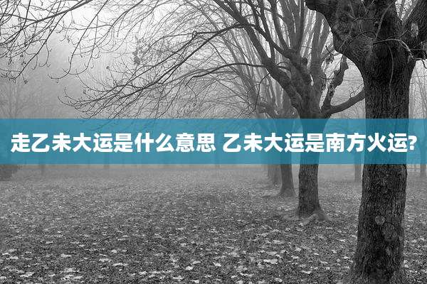走乙未大运是什么意思 乙未大运是南方火运?