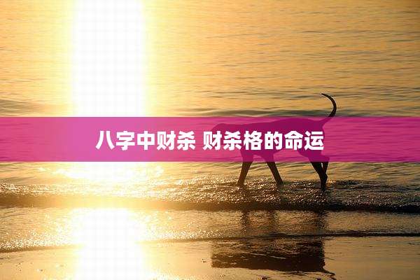 八字中财杀 财杀格的命运