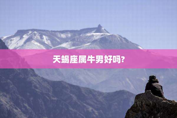 天蝎座属牛男好吗?