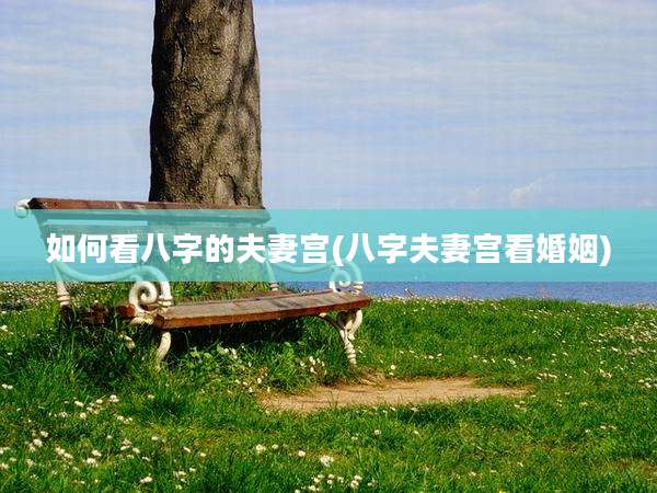 如何看八字的夫妻宫(八字夫妻宫看婚姻)