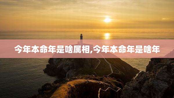 今年本命年是啥属相,今年本命年是啥年