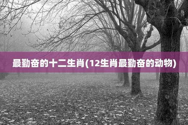 最勤奋的十二生肖(12生肖最勤奋的动物)