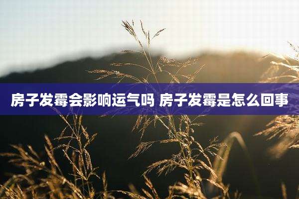 房子发霉会影响运气吗 房子发霉是怎么回事