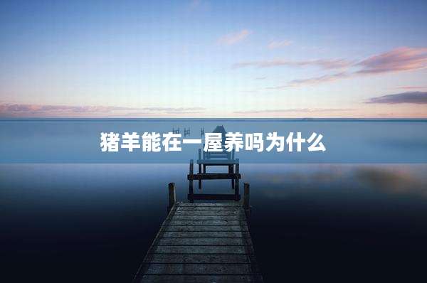 猪羊能在一屋养吗为什么