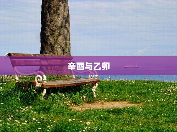 辛酉与乙卯