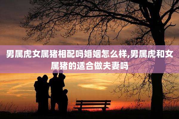 男属虎女属猪相配吗婚姻怎么样,男属虎和女属猪的适合做夫妻吗