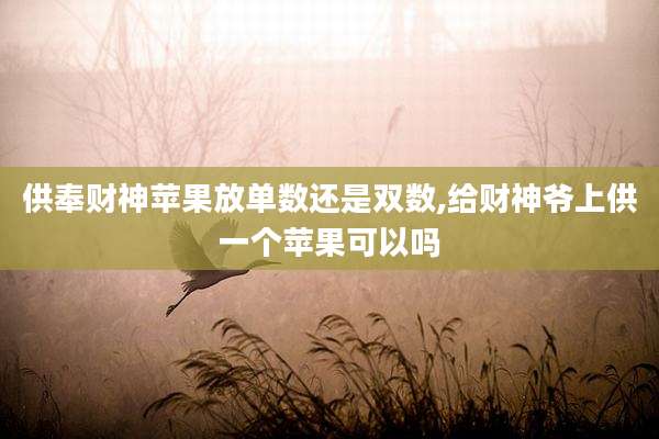 供奉财神苹果放单数还是双数,给财神爷上供一个苹果可以吗