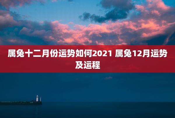 属兔十二月份运势如何2021 属兔12月运势及运程