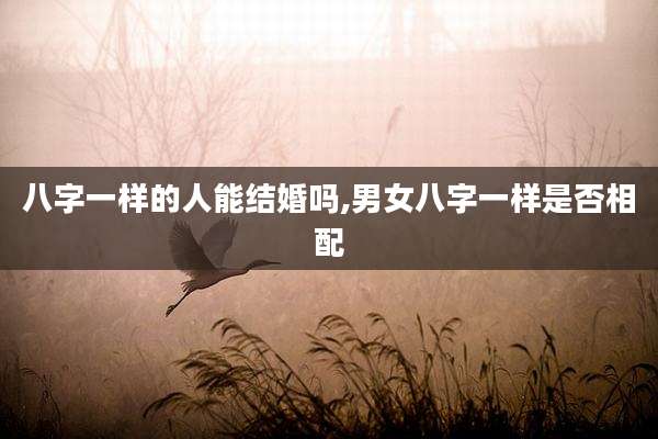 八字一样的人能结婚吗,男女八字一样是否相配
