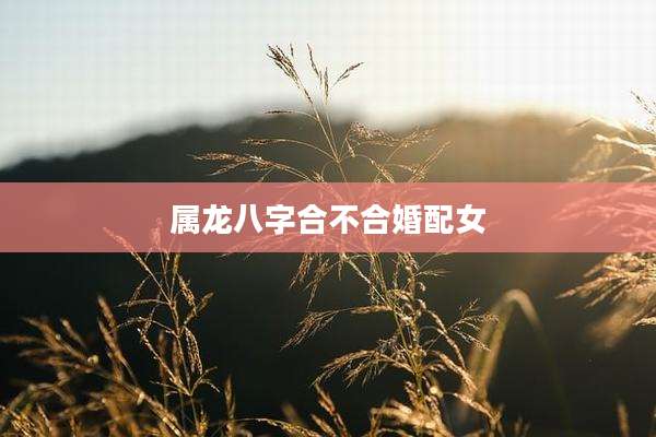 属龙八字合不合婚配女
