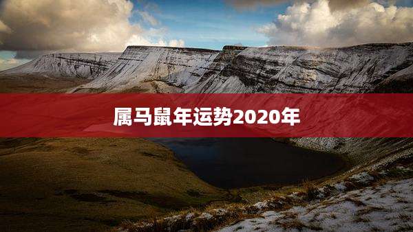 属马鼠年运势2020年