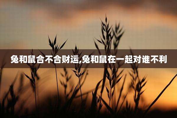兔和鼠合不合财运,兔和鼠在一起对谁不利