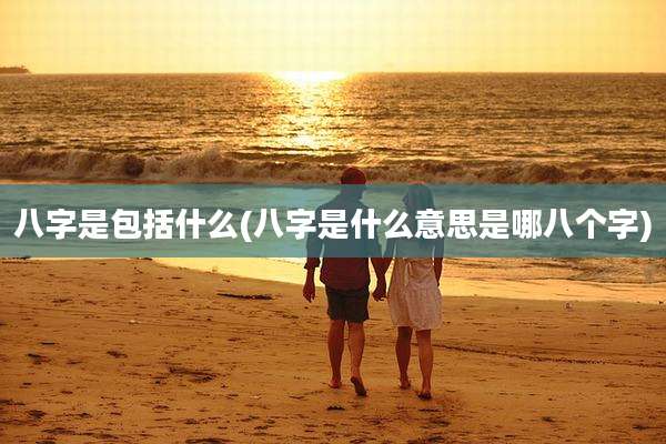 八字是包括什么(八字是什么意思是哪八个字)