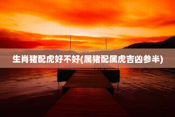 生肖猪配虎好不好(属猪配属虎吉凶参半)