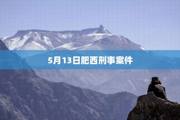 5月13日肥西刑事案件