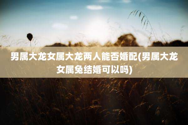 男属大龙女属大龙两人能否婚配(男属大龙女属兔结婚可以吗)