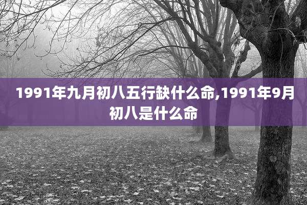 1991年九月初八五行缺什么命,1991年9月初八是什么命