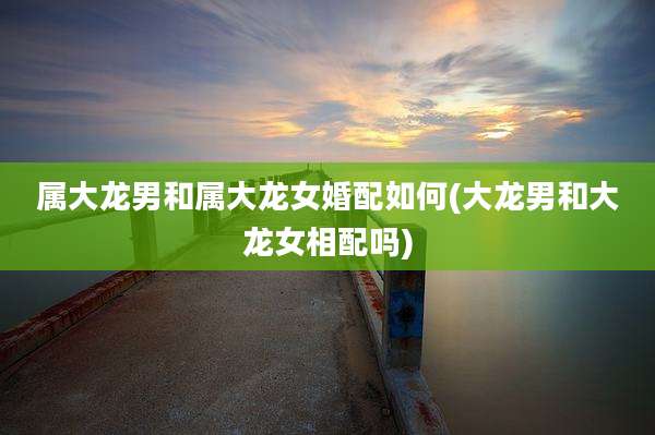 属大龙男和属大龙女婚配如何(大龙男和大龙女相配吗)