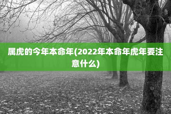 属虎的今年本命年(2022年本命年虎年要注意什么)